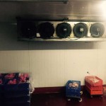 מערכות קירור והקפאה עמוקה